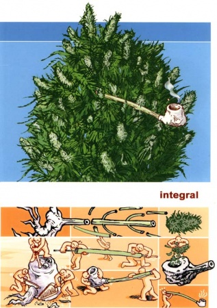 Увеличить картинку